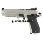 Sig Sauer P226 9mm 5" 10rd Pistol, Silver - 226X5-9-STAS-10