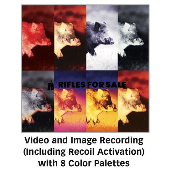 SIG Sauer ECHO3 2-12x40mm Thermal Reflex Sight, Black - SOEC32001 - Image 4